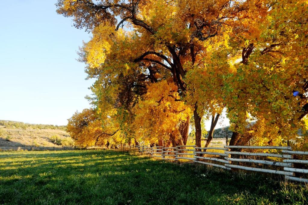 Canyon Of The Ancients Guest Ranch Кортес Экстерьер фото