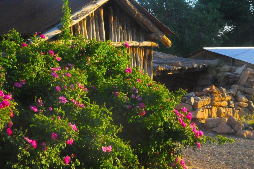 Canyon Of The Ancients Guest Ranch Кортес Экстерьер фото