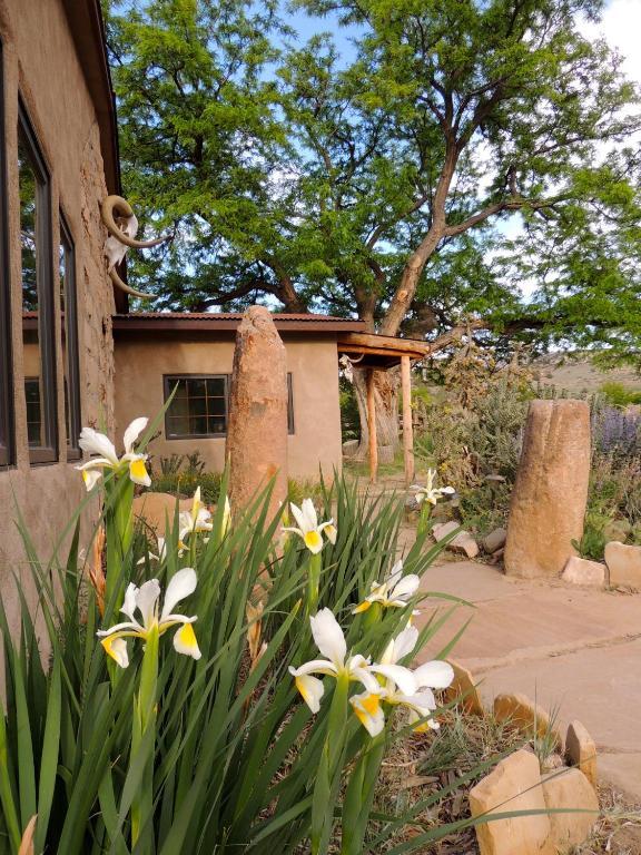 Canyon Of The Ancients Guest Ranch Кортес Экстерьер фото